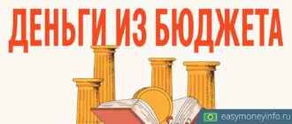 Бюджетные инвестиции по статье 80 БК РФ: кто может получить и на каких условиях
