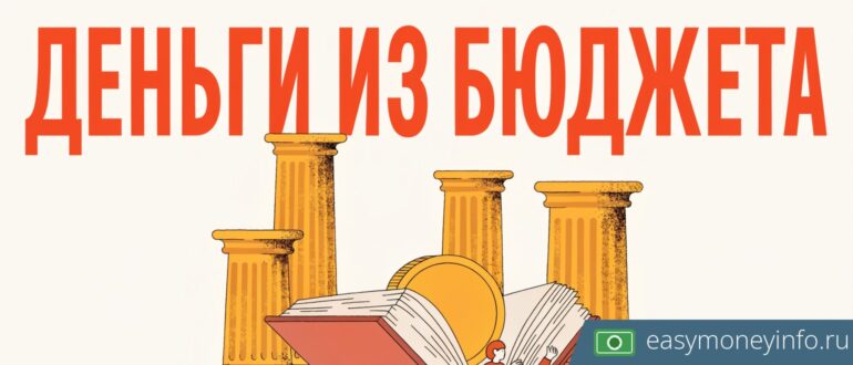Бюджетные инвестиции по статье 80 БК РФ: кто может получить и на каких условиях