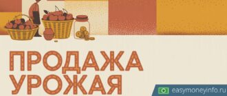 Как продать вишню: куда сдать урожай и что нужно знать о законе
